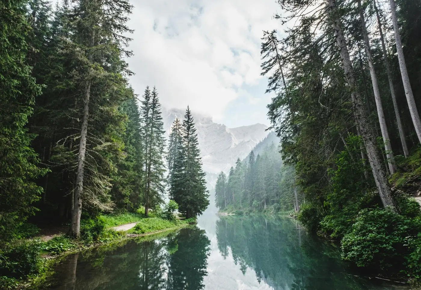 Mist rising off a calm river between tall pine trees